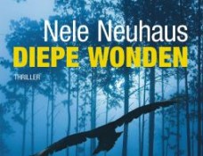 diepe wonden
