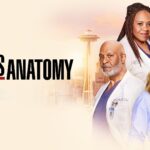21ste seizoen van Grey's Anatomy