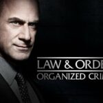 Law and Order: Organized Crime 2