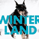 Heerlijke thriller: 'Winterland' - Kim Faber en Janni Pedersen