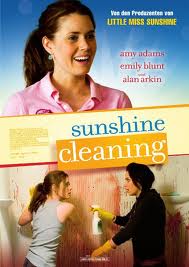sunshine cleaning