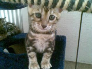 tsavo - kopie - webformaat